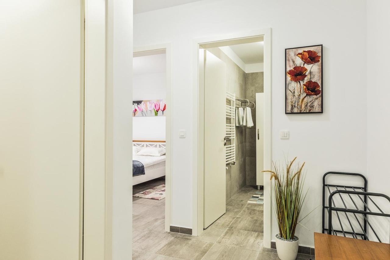 Elegant Sophia'S Apartment Брашов Экстерьер фото